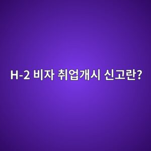 h 2 ebb984ec9e90 ecb7a8ec9785eab09cec8b9c ec8ba0eab3a0eb9e80 1790419183